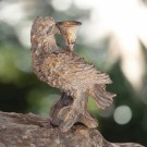 Lysestake ørn thumbnail