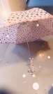 Rosa Paraply thumbnail