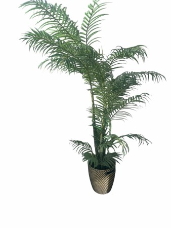 Kunstig Palme